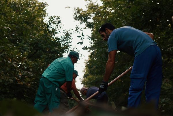 Vídeo corporativo para Nueces Vettonia