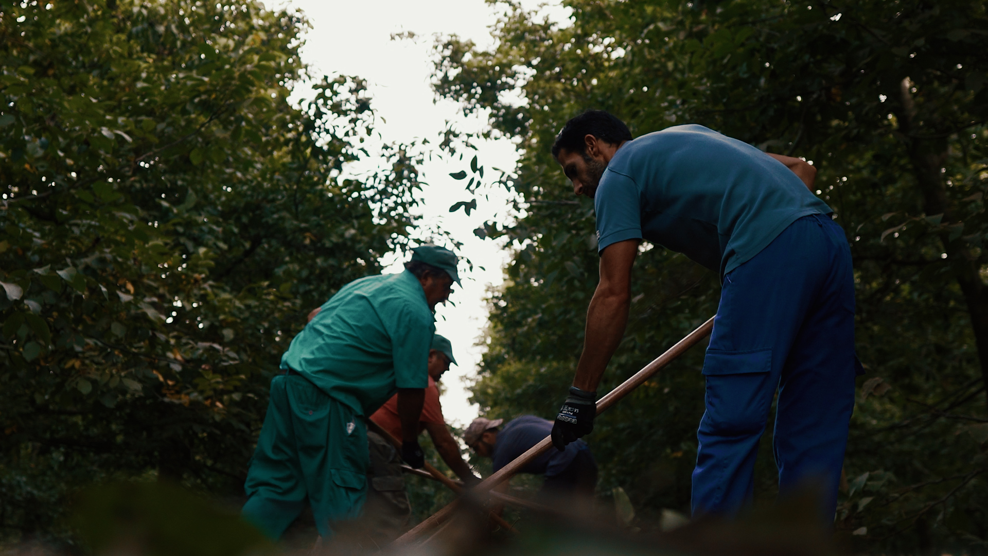Vídeo corporativo para Nueces Vettonia
